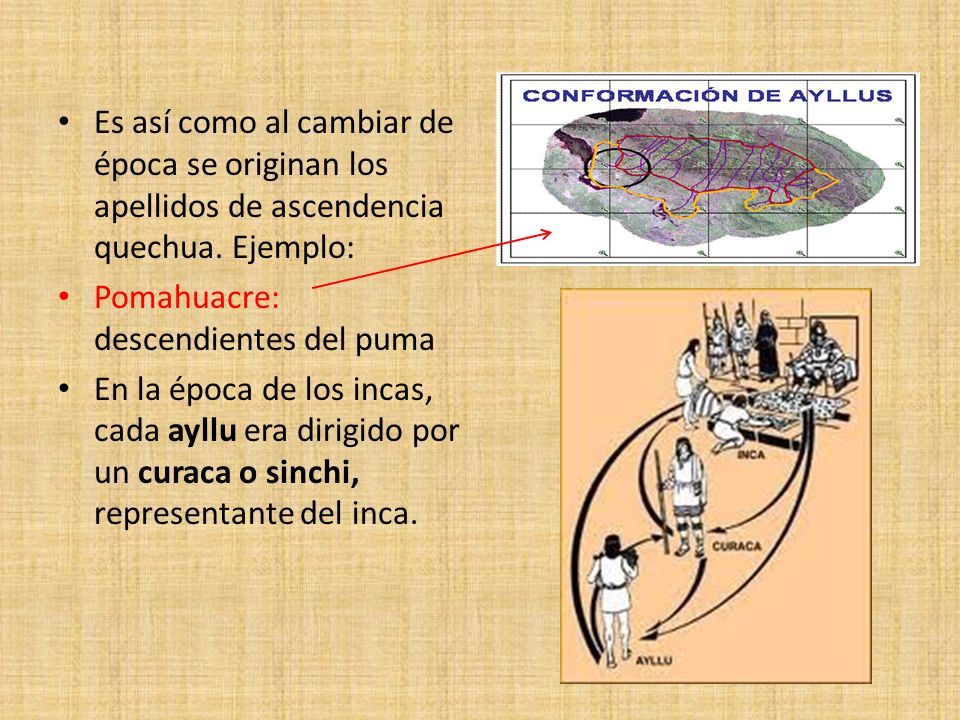 que significa puma en quechua que significa puma en quechua